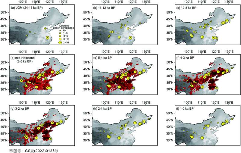 LGM refugia of deciduous oak and distribution development since the LGM in China