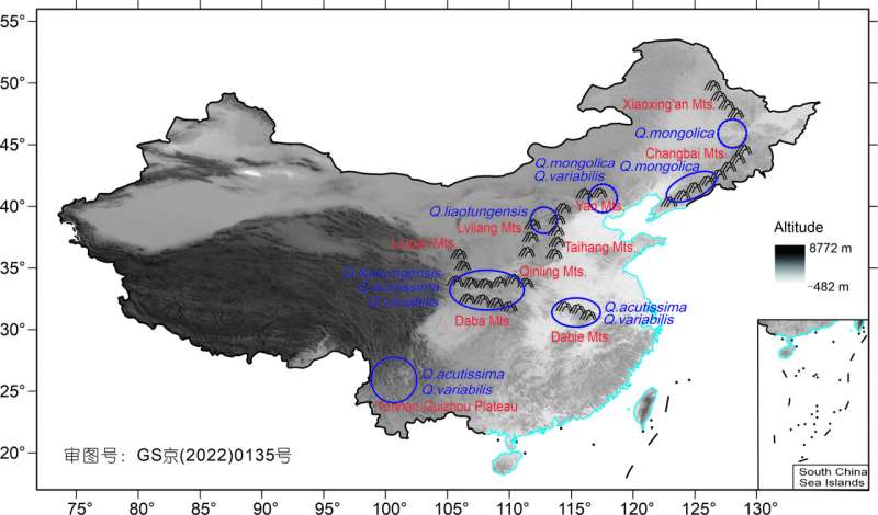 LGM refugia of deciduous oak and distribution development since the LGM in China