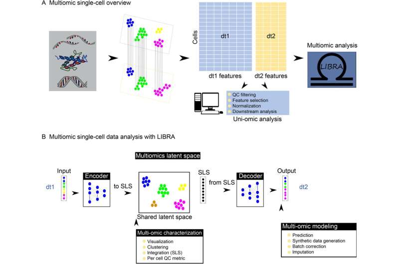 LIBRA: An adaptative integrative tool for paired single-cell multi-omics data