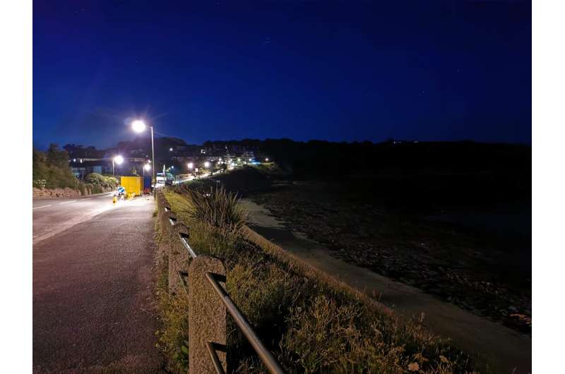 Light pollution confuses coastal woodlouse
