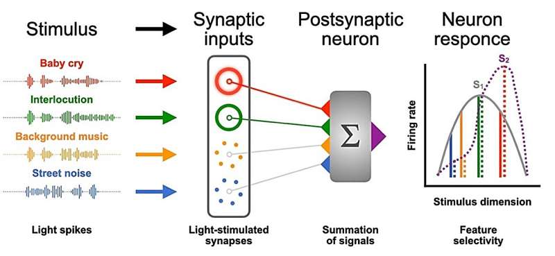 Light-stimulated adaptive artificial synapse based on nanocrystalline metal-oxide film