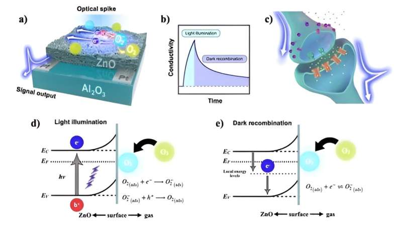 Light-stimulated adaptive artificial synapse based on nanocrystalline metal-oxide film