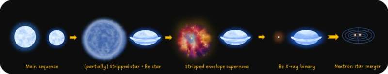Light supergiant reveals a missing evolutionary stage