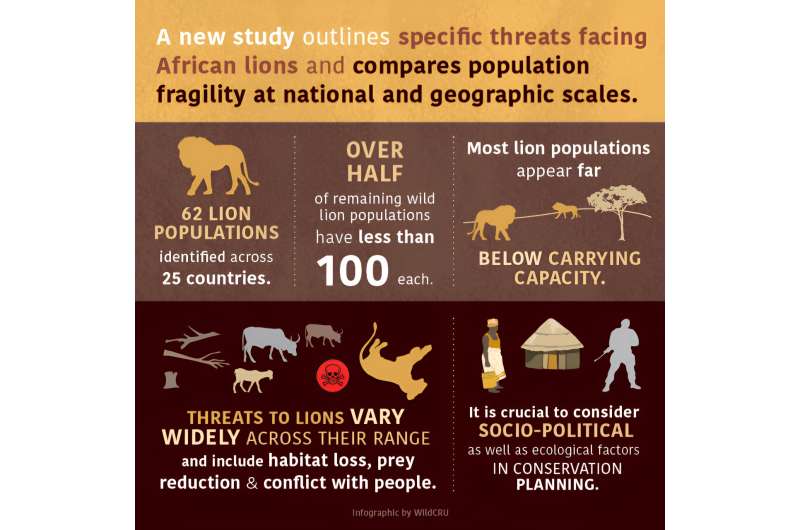 Lions on the brink – New analysis reveals the differing threats to African lion populations