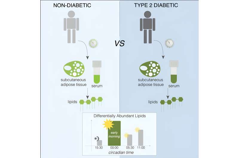 Lipids and diabetes are closely linked