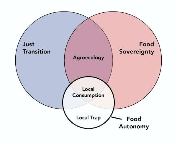 La comida local no es suficiente: necesitamos una transición sostenible en el sistema alimentario