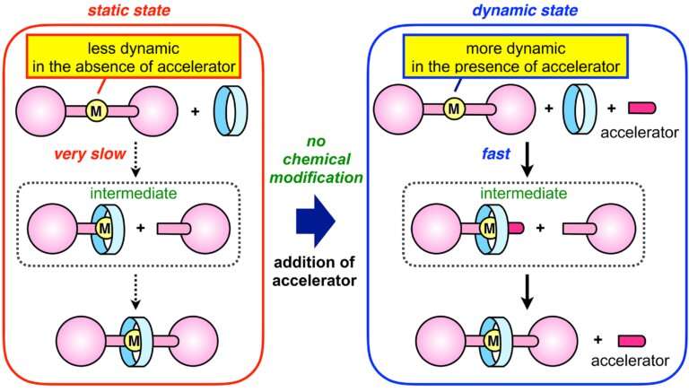 Locking and unlocking molecular structures on demand