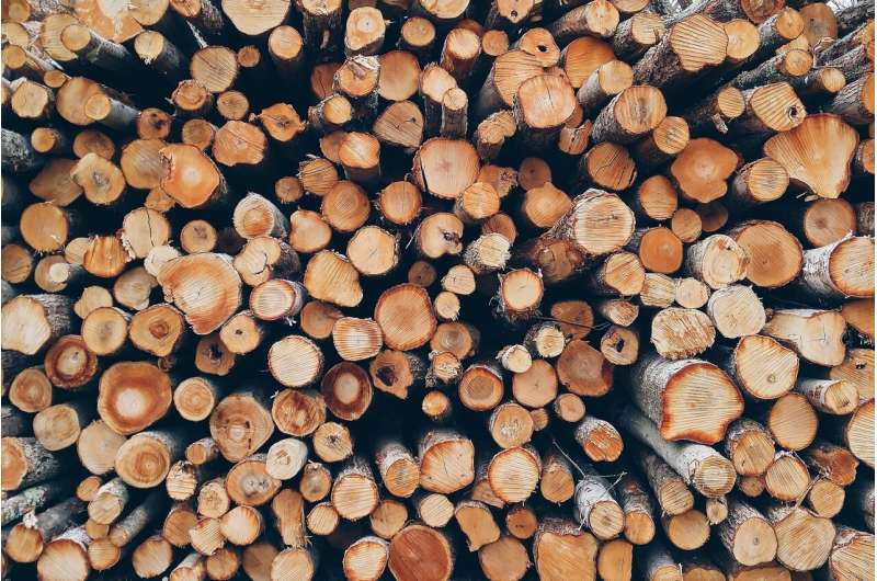 logging