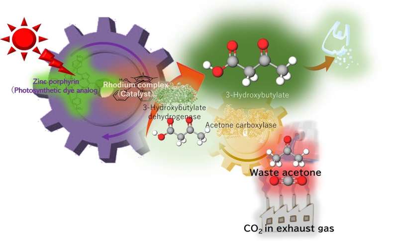 Low concentration CO2 can be reused in biodegradable plastic precursor using artificial photosynthesis