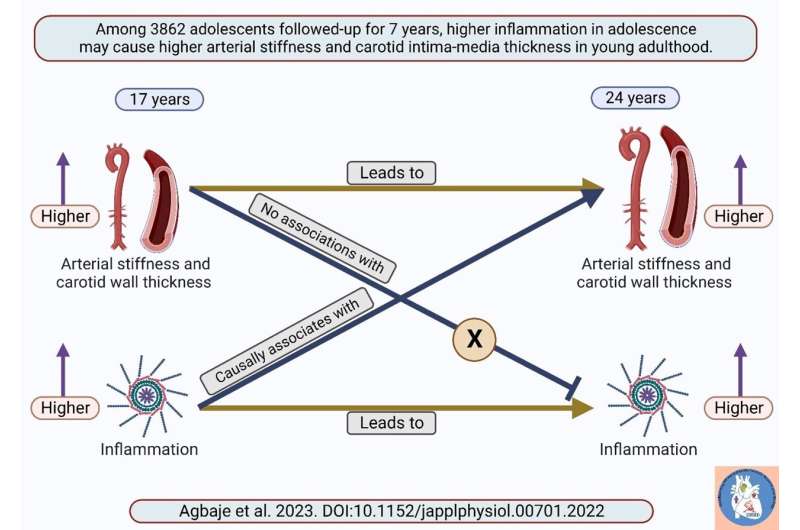 Low-grade inflammation may cause arterial stiffness and preclinical atherosclerosis in otherwise healthy adolescents