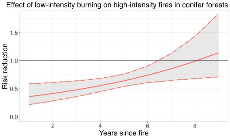 Согласно исследованию исследователей из Колумбии и Стэнфорда, пожары низкой интенсивности снижают риск лесных пожаров на 60%.