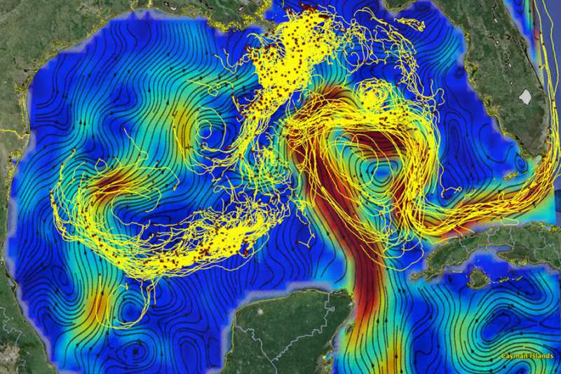 Machine-learning model makes more accurate predictions about ocean currents