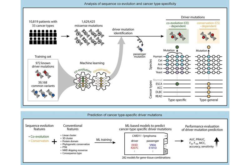 Machine learning to identify cancer type-specific driver mutations for the development of new drug targets and treatment strateg