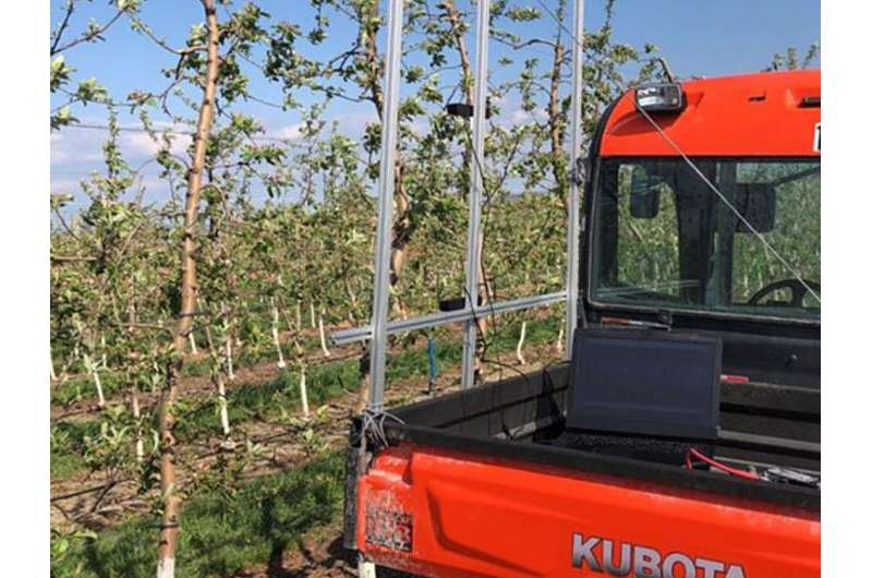 Developed a machine vision system that can identify the position of kingflowers in apple trees