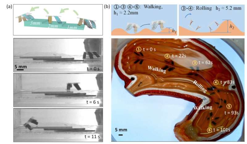 Magnetically actuated quadruped soft microrobot toward gastric biopsy