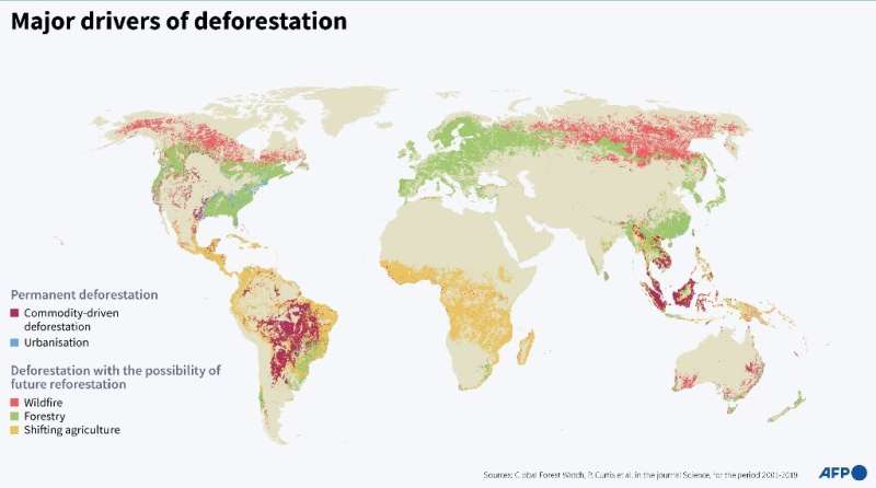 Major drivers of deforestation