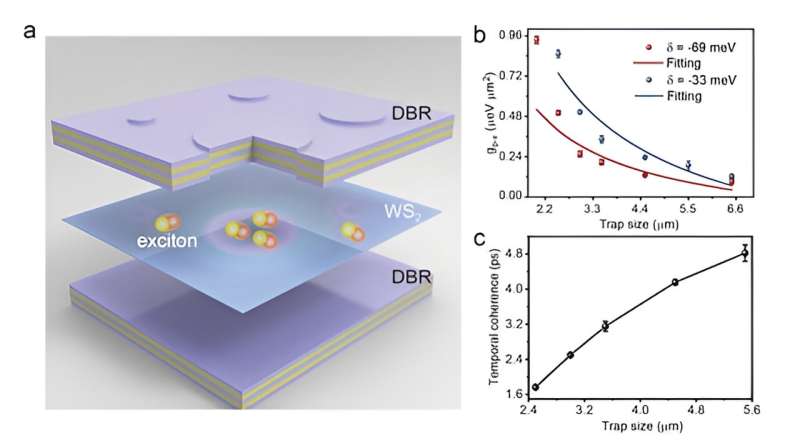 Manipulating nonlinear exciton polaritons in a WS2 monolayer with artificial lattices