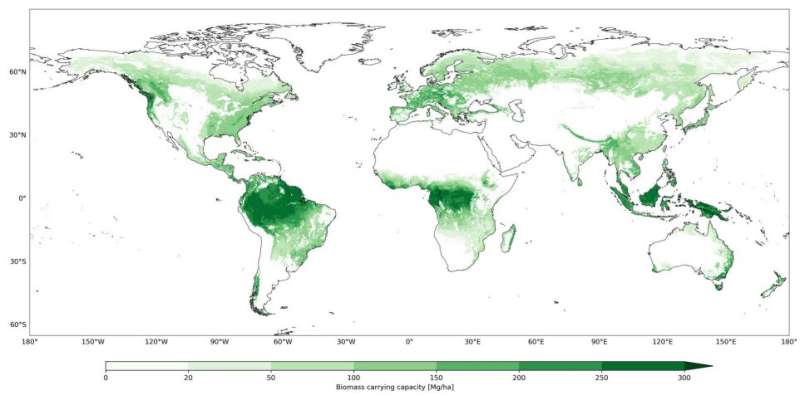 Mapping and AI apps suggest ceasing management of forests not enough to offset carbon emissions