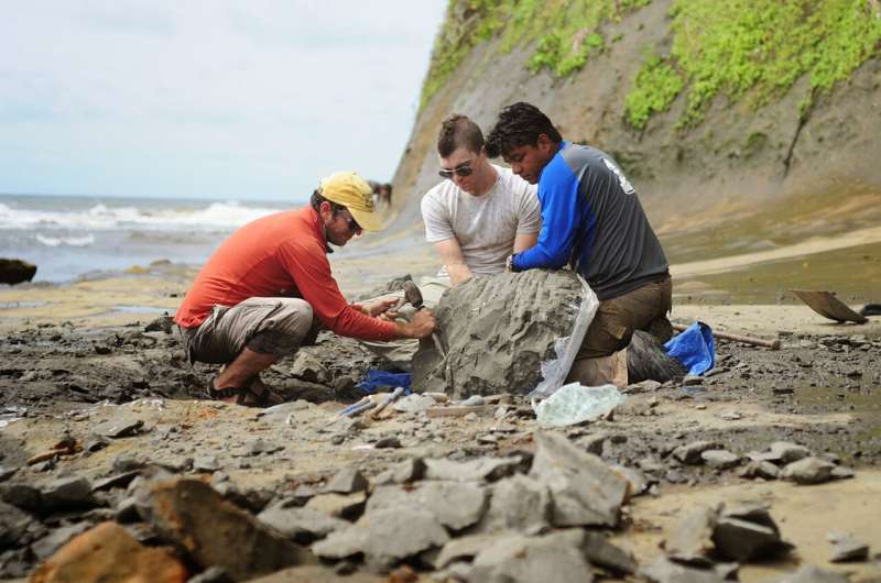 Marine fossils unearth a story about Panama's deep past