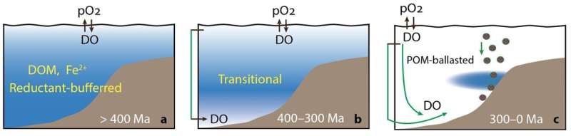 Marine oxygen landscape shaped by plate movement and biological innovation