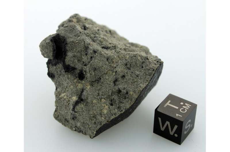 Meteoryty marsjańskie zawierają szeroką gamę związków organicznych