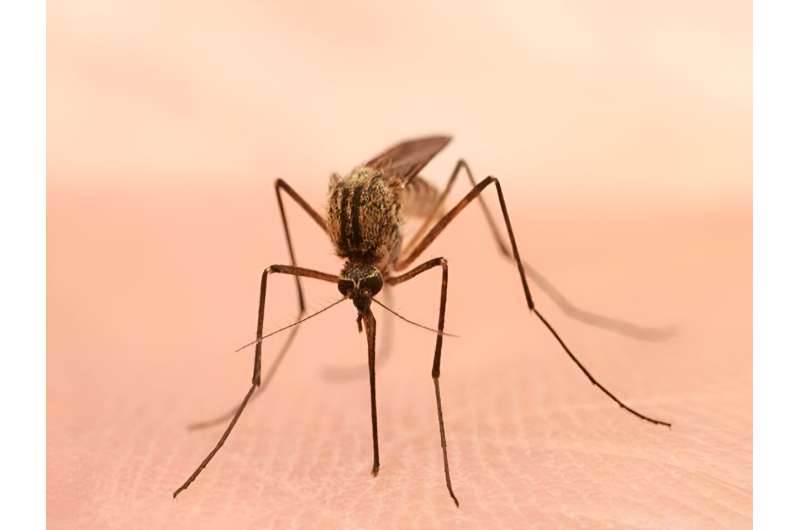 Maryland reports case of locally acquired malaria