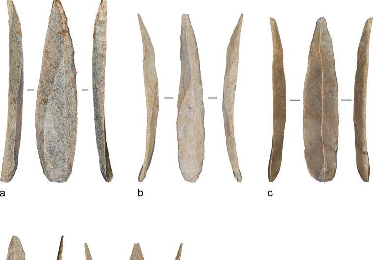 Mass production of stone bladelets shows cultural shift in Paleolithic Levant
