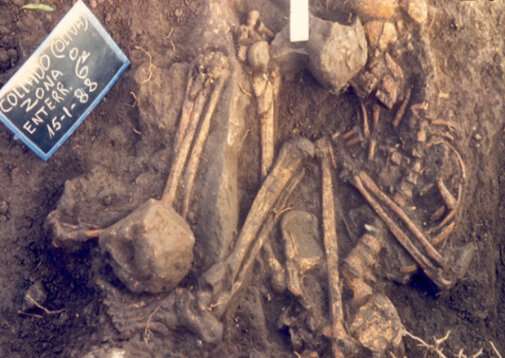 Mediterranean hunter-gatherers relied on marine resources more than previously thought