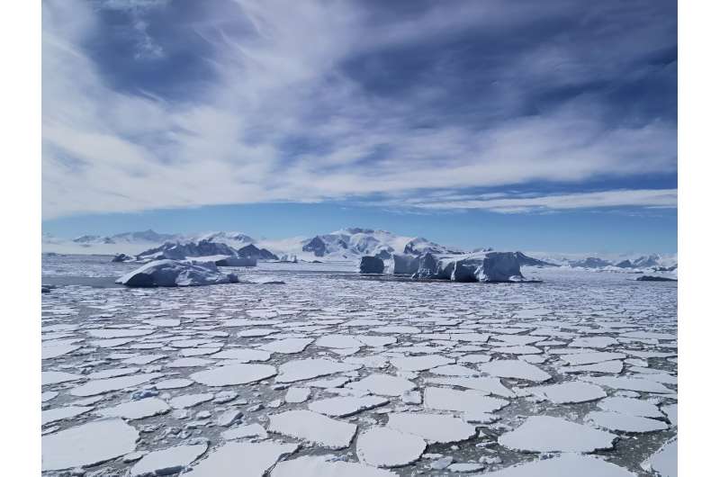Melting ice falling snow: Sea ice declines enhance snowfall over West Antarctica