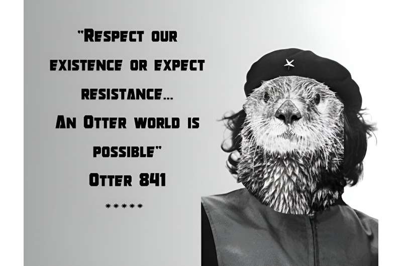Memes about animal resistance—here's why you shouldn't laugh off rebellious orcas and sea otters too quickly
