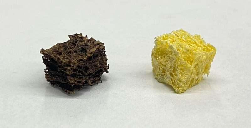 Metal-filtering sponge removes lead from water
