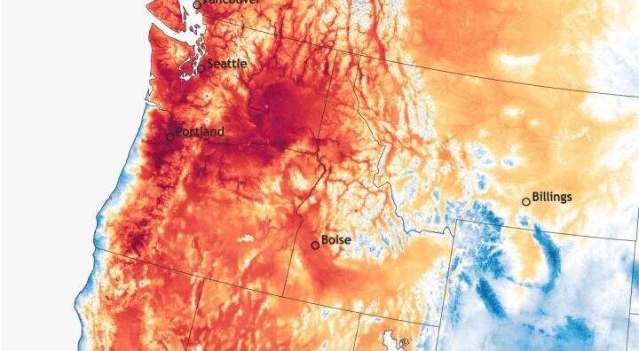 Meteorological analysis of the deadly June 2021 Pacific Northwest heat wave