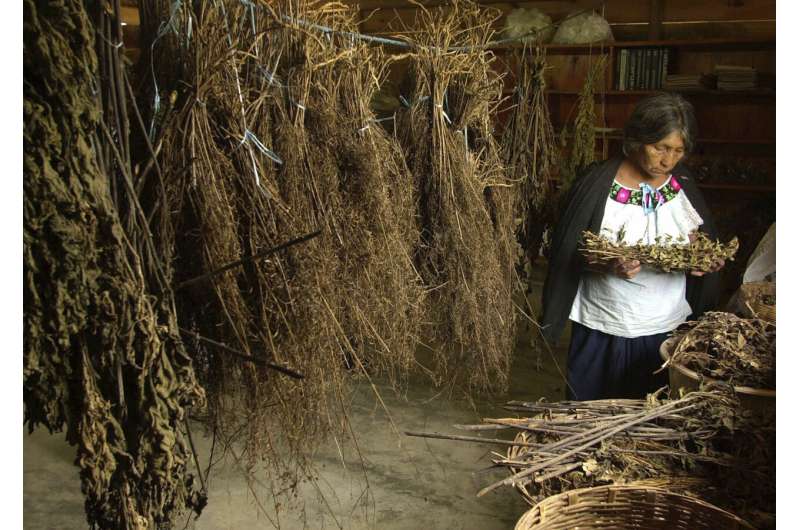 Mexico to use traditional medicine, more Cuban doctors