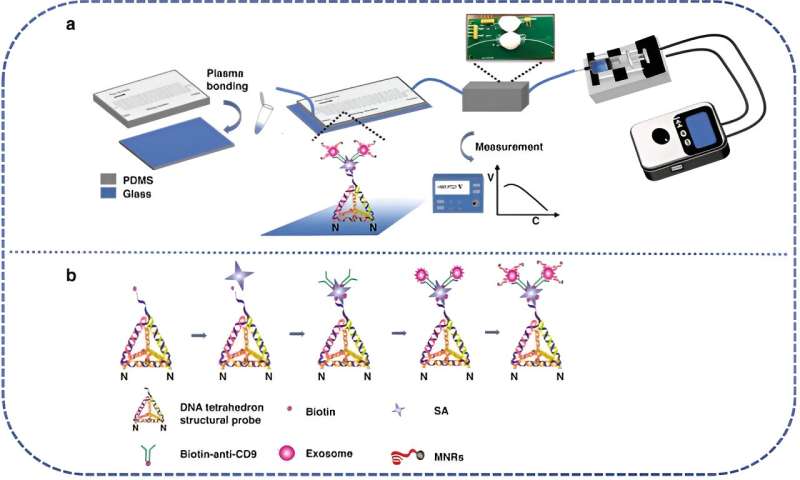 A microfluidic magnetic detection system for tumor-derived exosome analysis