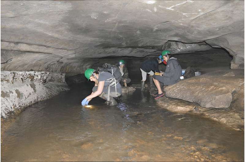 Microplastics are found in cave water and sediment, says SLU research