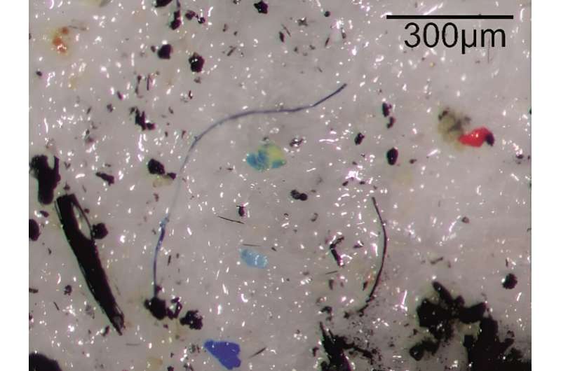 Microplastics in the mud: Finnish lake sediments help us get to the bottom of plastic pollution