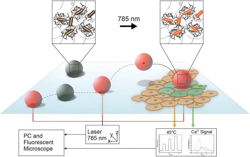 Microrobots capable of navigating within groups of cells and stimulating individual cells