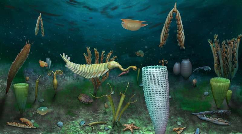 Middle Ordovician “marine dwarf world” found from Castle Bank, Wales (UK)