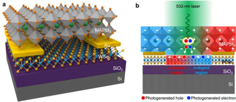 Migrating ions through the perovskite layer in two dimensions