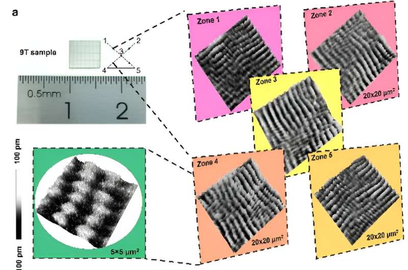 Millimetre-scale meron lattices that can serve as spin injectors for LEDs