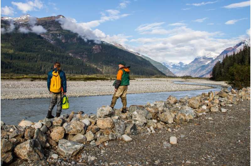 Mining industry competing with salmon for rivers created by disappearing glaciers