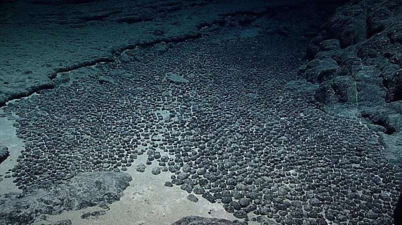 Mining the seabed for clean-tech minerals could  destroy ecosystems. Will it get the green light?