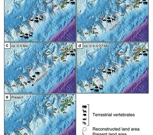 Missing island explains emergence of endemic species on the Miyako islands