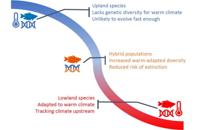 Mixing between species reduces vulnerability to climate change