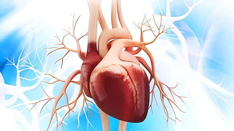 Model based on age, routine lab tests predicts atherosclerotic CVD accurately