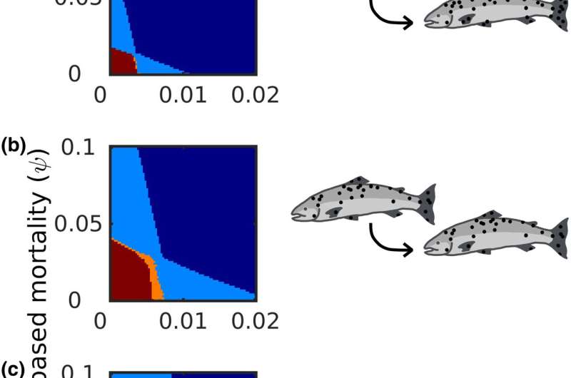 Modeling the dynamics of animal migration and parasitic infection