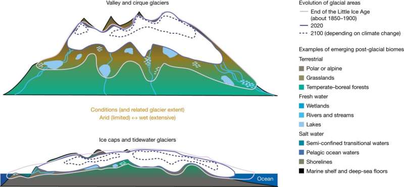 Modeling the future of glaciers and the new ecosystems that will develop as deglaciation occurs
