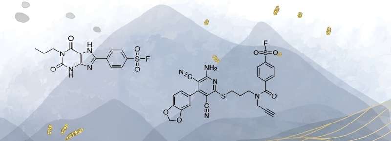 Modified caffeine molecules help medical research move forward
