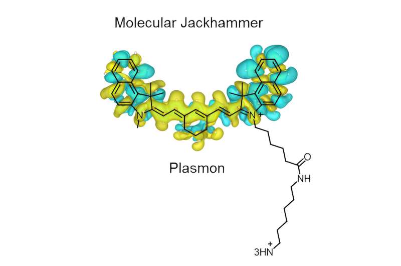 ‘Molecular jackhammers’ can rupture melanoma cells’ membrane, study shows