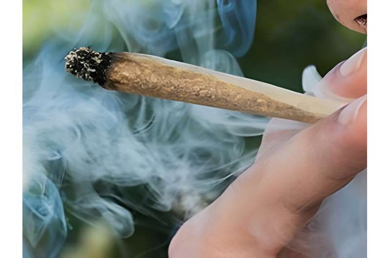 More americans than ever believe marijuana smoke is safer than cigarette smoke. they're wrong
